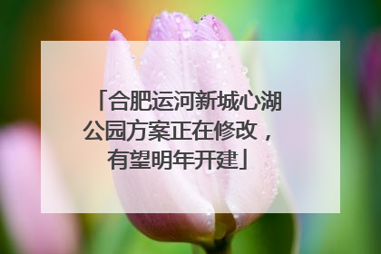 合肥运河新城心湖公园方案正在修改，有望明年开建