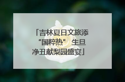 吉林夏日文旅添“国粹热” 生旦净丑献梨园盛宴