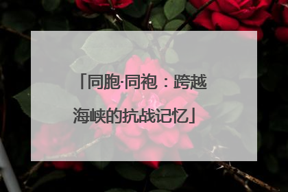 同胞·同袍：跨越海峡的抗战记忆