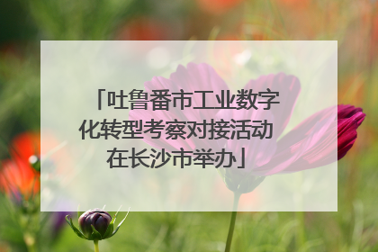 吐鲁番市工业数字化转型考察对接活动在长沙市举办