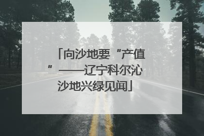向沙地要“产值”——辽宁科尔沁沙地兴绿见闻
