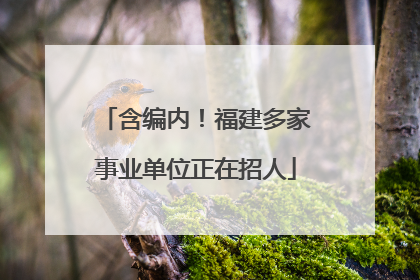 含编内！福建多家事业单位正在招人