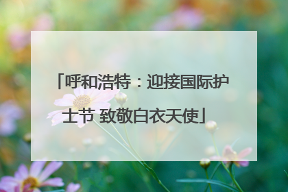 呼和浩特：迎接国际护士节 致敬白衣天使