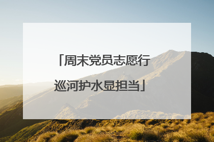 周末党员志愿行 巡河护水显担当