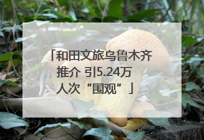 和田文旅乌鲁木齐推介 引5.24万人次“围观”