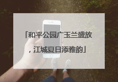 和平公园广玉兰盛放，江城夏日添雅韵