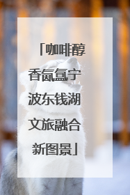 咖啡醇香氤氲宁波东钱湖文旅融合新图景