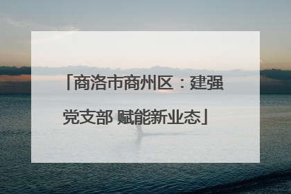 商洛市商州区：建强党支部 赋能新业态