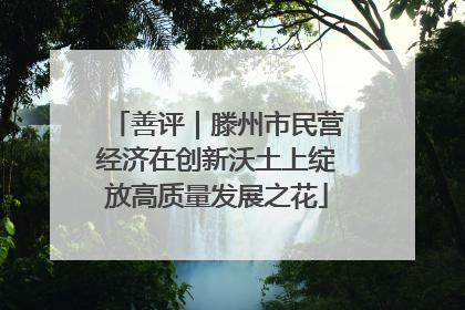 善评｜滕州市民营经济在创新沃土上绽放高质量发展之花