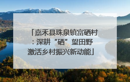 嘉禾县珠泉镇富硒村：深耕“硒”望田野 激活乡村振兴新动能