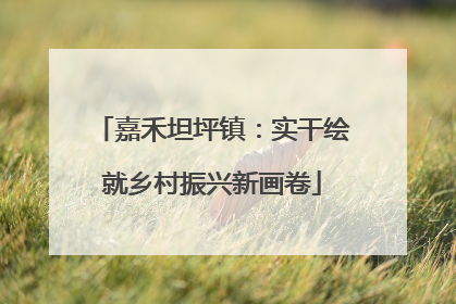 嘉禾坦坪镇：实干绘就乡村振兴新画卷