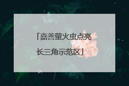 嘉善萤火虫点亮长三角示范区