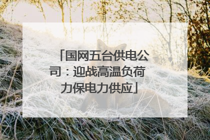 国网五台供电公司：迎战高温负荷 力保电力供应