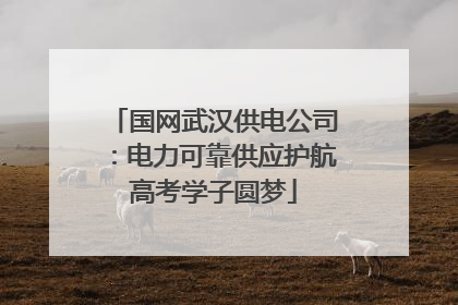 国网武汉供电公司：电力可靠供应护航高考学子圆梦