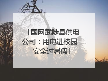 国网武陟县供电公司：用电进校园  安全过暑假