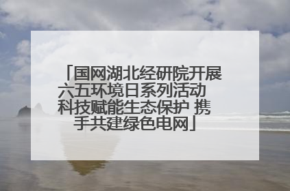 国网湖北经研院开展六五环境日系列活动 科技赋能生态保护 携手共建绿色电网