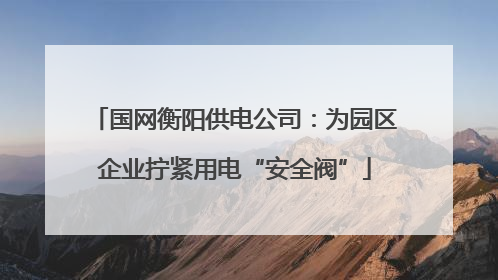 国网衡阳供电公司：为园区企业拧紧用电“安全阀”