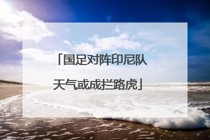 国足对阵印尼队 天气或成拦路虎