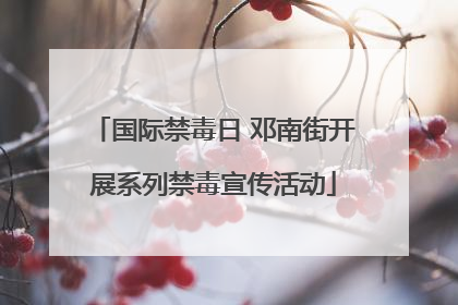 国际禁毒日 邓南街开展系列禁毒宣传活动