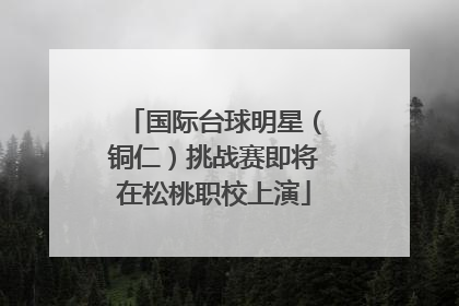 国际台球明星（铜仁）挑战赛即将在松桃职校上演