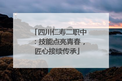 四川仁寿二职中：技能点亮青春，匠心接续传承
