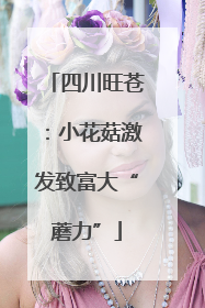 四川旺苍：小花菇激发致富大“蘑力”