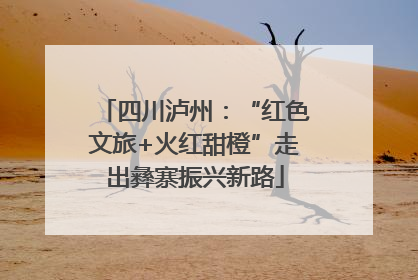 四川泸州：“红色文旅+火红甜橙”走出彝寨振兴新路