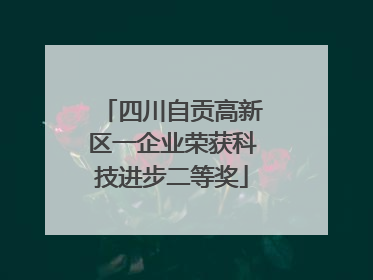 四川自贡高新区一企业荣获科技进步二等奖