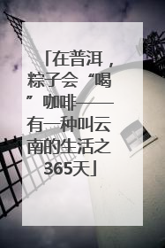 在普洱，粽子会“喝”咖啡——有一种叫云南的生活之365天