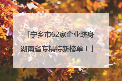 宁乡市62家企业跻身湖南省专精特新榜单！