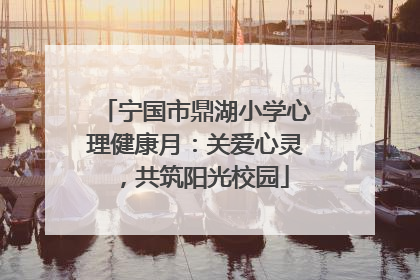 宁国市鼎湖小学心理健康月：关爱心灵，共筑阳光校园