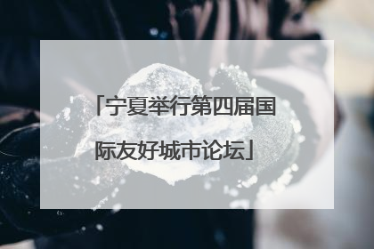 宁夏举行第四届国际友好城市论坛