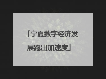 宁夏数字经济发展跑出加速度
