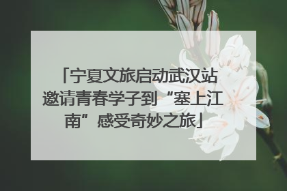 宁夏文旅启动武汉站 邀请青春学子到“塞上江南”感受奇妙之旅