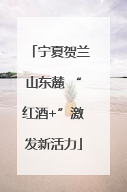宁夏贺兰山东麓 “红酒+”激发新活力