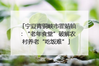 宁夏青铜峡市瞿靖镇：“老年食堂”破解农村养老“吃饭难”