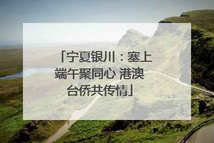 宁夏银川：塞上端午聚同心 港澳台侨共传情