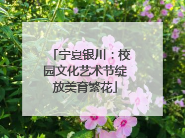 宁夏银川：校园文化艺术节绽放美育繁花