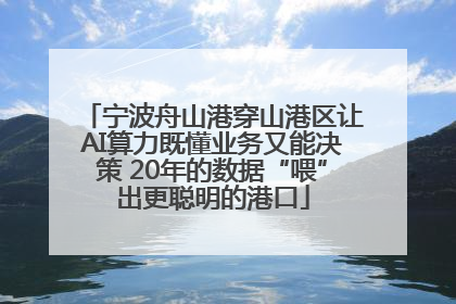 宁波舟山港穿山港区让AI算力既懂业务又能决策 20年的数据“喂”出更聪明的港口