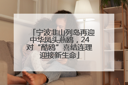 宁波韭山列岛再迎中华凤头燕鸥，24对“酷鸥”喜结连理迎接新生命