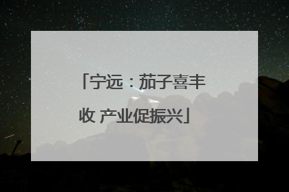 宁远：茄子喜丰收 产业促振兴