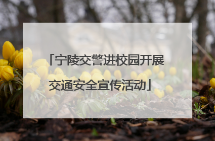 宁陵交警进校园开展交通安全宣传活动
