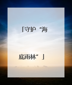 守护“海底雨林”