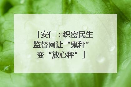 安仁：织密民生监督网让“鬼秤”变“放心秤”