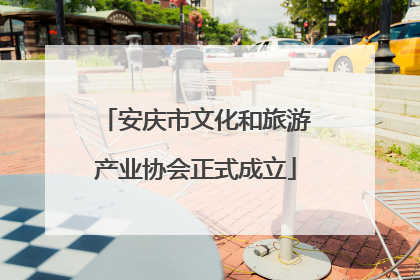 安庆市文化和旅游产业协会正式成立