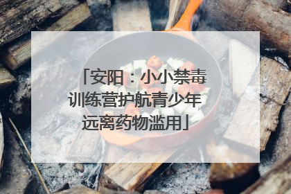 安阳：小小禁毒训练营护航青少年远离药物滥用