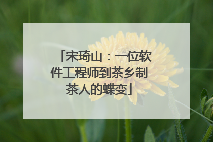 宋琦山：一位软件工程师到茶乡制茶人的蝶变