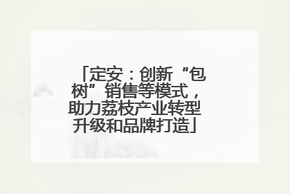 定安：创新“包树”销售等模式，助力荔枝产业转型升级和品牌打造