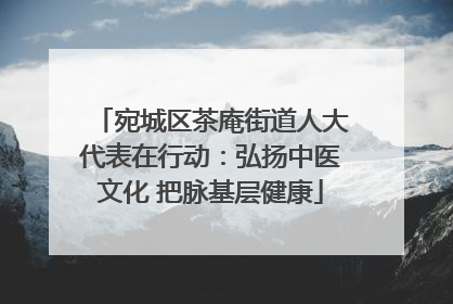 宛城区茶庵街道人大代表在行动：弘扬中医文化 把脉基层健康