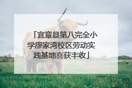 宜章县第八完全小学廖家湾校区劳动实践基地喜获丰收